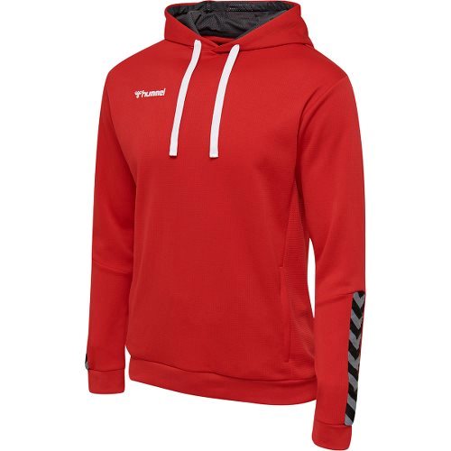 hmlAuthentic Kids Poly Hoodie